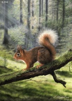 Red Squirrel - Limited Edition Print By Nigel Artingstall