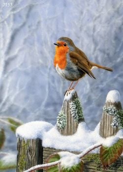 Robin - Winter Scene - Limited Edition Print By Nigel Artingstall
