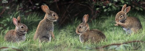 The Bramble Patch - Baby Rabbits - Limited Edition Print By Nigel Artingsta