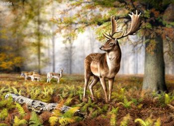 The Master Buck - Roe Deer - Limited Edition Print By Nigel Artingstall