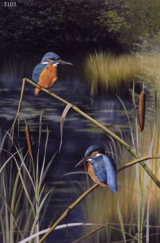 The Mill Pond - Kingfishers - Limited Edition Print By Nigel Artingstall
