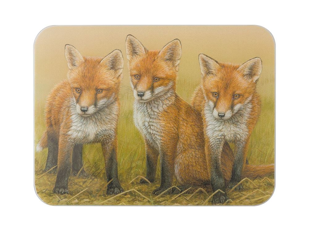 Three Fox Cubs - Glass Worktop Saver By Robert E Fuller