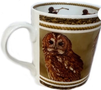 Tawny Owl - Luxury Fine Bone China Mug By Robert E Fuller