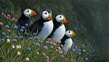 Puffins - Summer Visitors - Limited Edition Print By Jeremy Paul