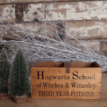 Hogwart's boxes