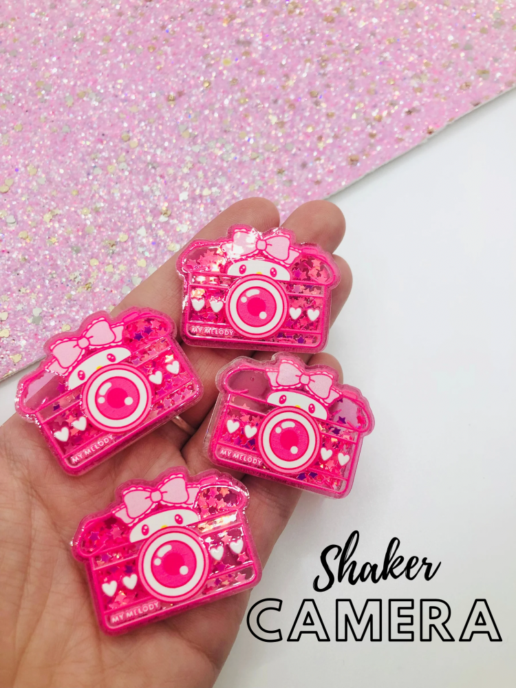 My melody shaker camera embellishment