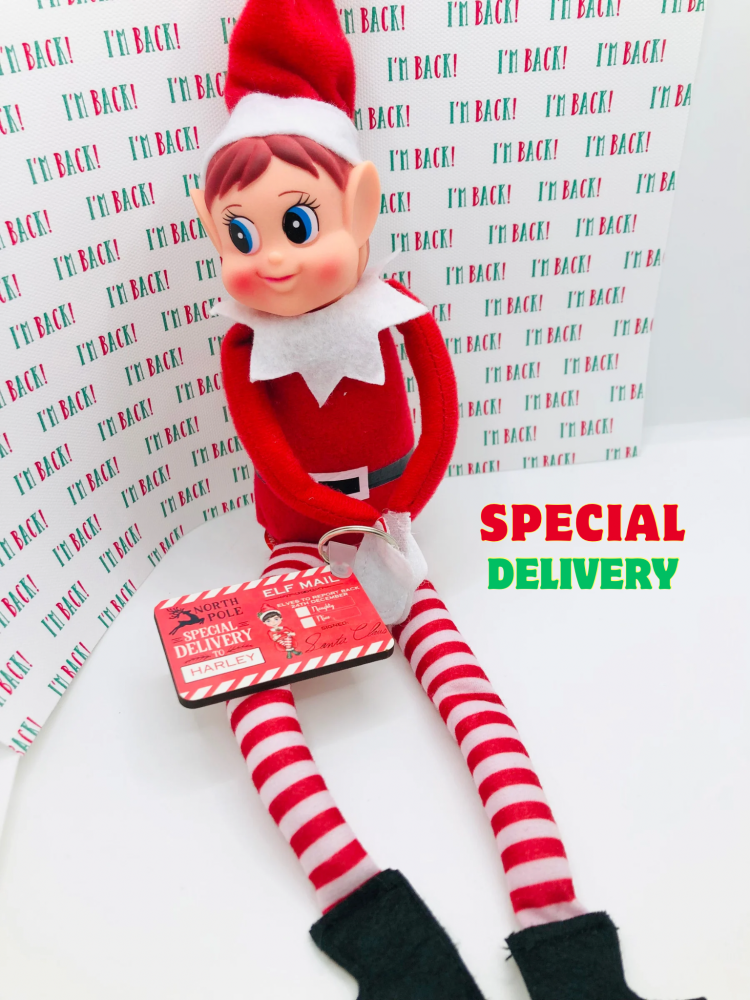 Elf special delivery card to report back to santa keyring