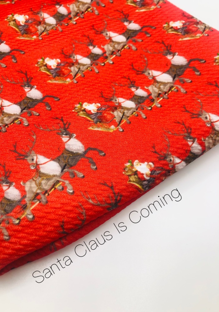 Santa Claus is coming to town printed Bullet Fabric