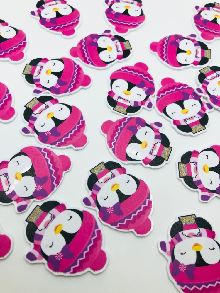 Pretty Winter Penguin resin flatback embellishment