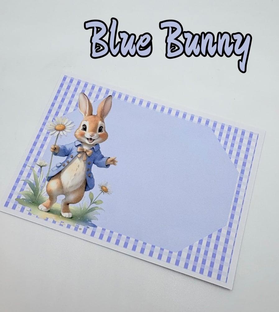 Easter blue easter peter rabbit gingham printed bow cards