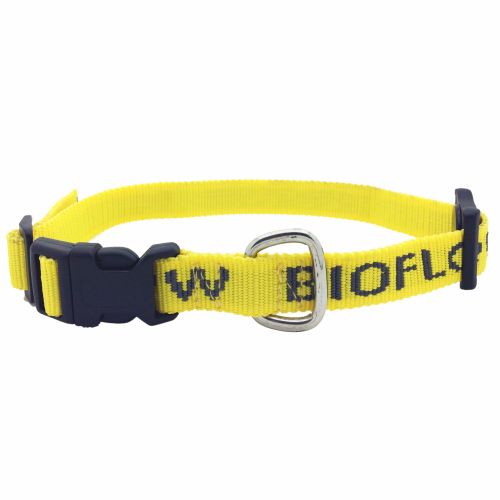 Yellow dog collar