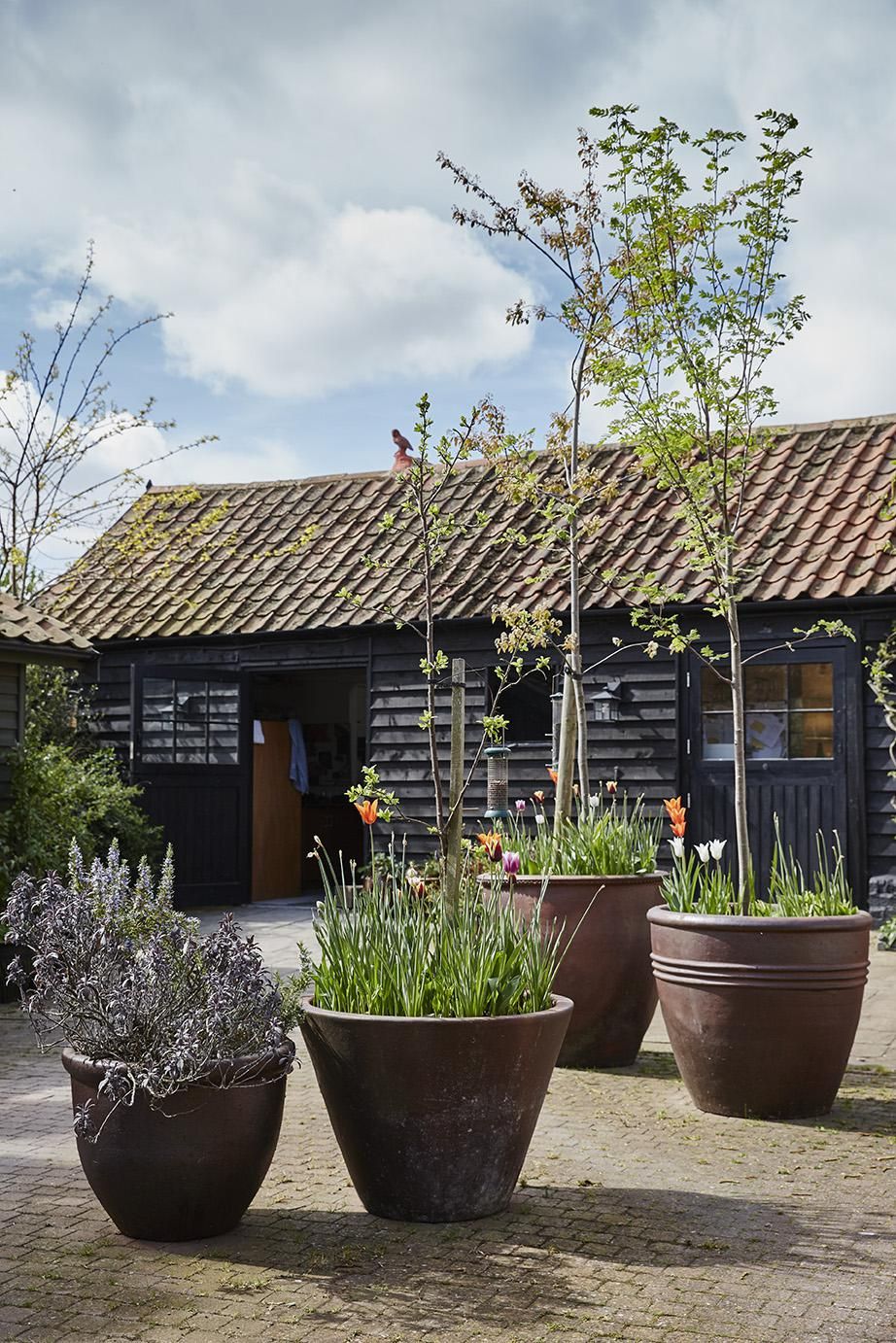 Studio Garden Stewart Hearn photo Alun Callender