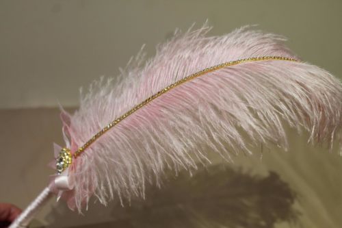 Large Pink Ostrich Feather Pen with Embellishment