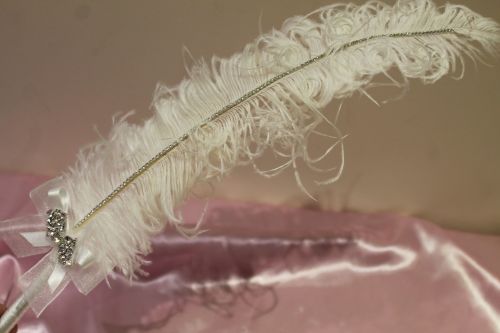 Large White Hand-Curled Ostrich Feather Pen