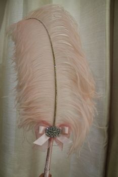 Extra Large Pale Pink Ostrich Feather Pen