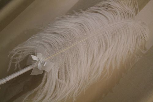 Extra Large White Ostrich Feather Pen