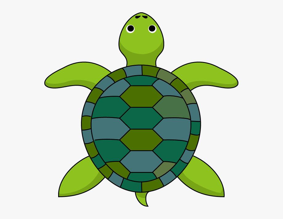 Terry the Turtle