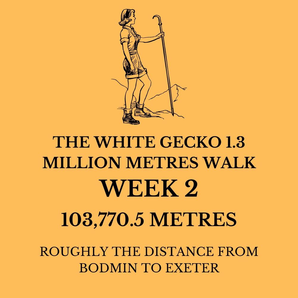 THE WHITE GECKO 1.3 MILLION METRES WALK WK 2