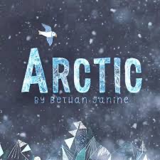 Dashwood Studio - Arctic by Bethan Janine