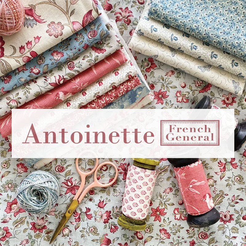 Antoinette by French General for Moda