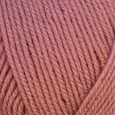 New Colour Stylecraft Special DK - Cinder Rose 2171