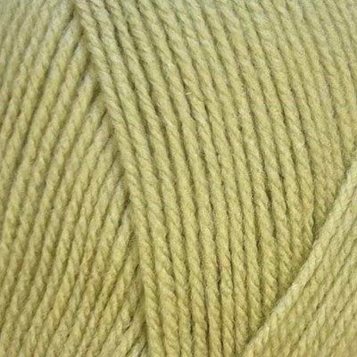 New Colour Stylecraft Special DK -  Mushy Peas 2173
