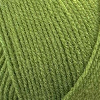 New Colour Stylecraft Special DK -  Leaf 2176