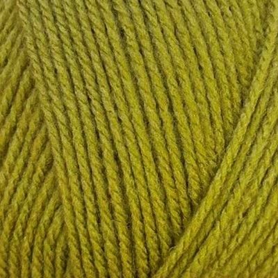 New Colour Stylecraft Special DK - Mistletoe 2180