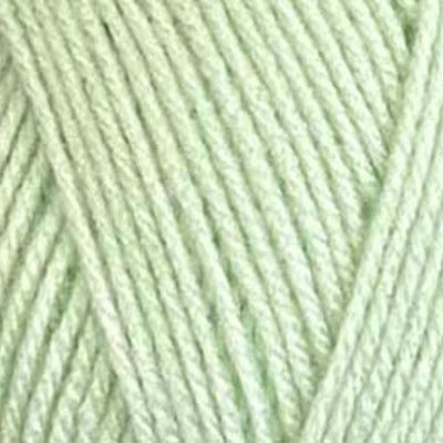 New Colour Stylecraft Special DK - Tea Green 2189