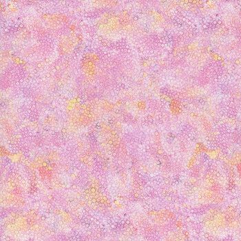 Timeless Treasures Escapade Dragonfly Illusion Dot Pink CD3212