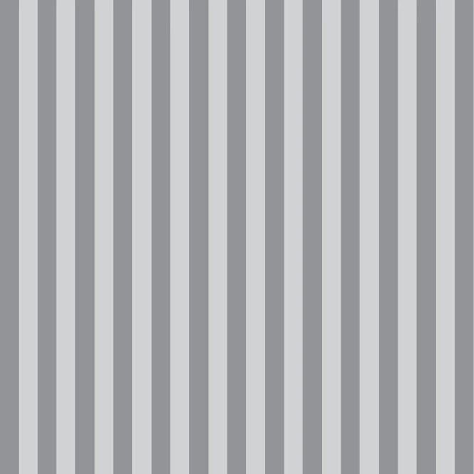Graywork by Tula Pink Tent Stripe FSPWTP 069FOG