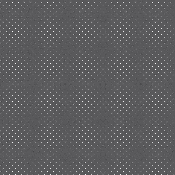 Graywork by Tula Pink Tiny Dots FSPWTP 185CARBON