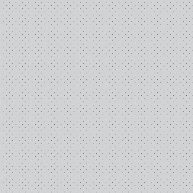 Graywork by Tula Pink Tiny Dots FSPWTP 185FOG
