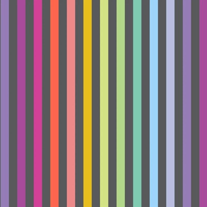 Graywork by Tula Pink Disco Stripe FSPWTP 231CARBON