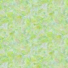 Timeless Treasures Escapade Dragonfly illusion Dot CD3212 Green