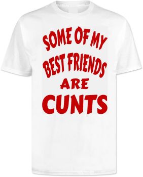 Some Of My Best Friends Are Cunts T Shirt
