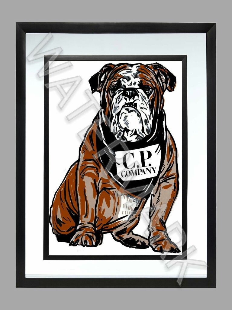 CP Company Style Print . Bulldog