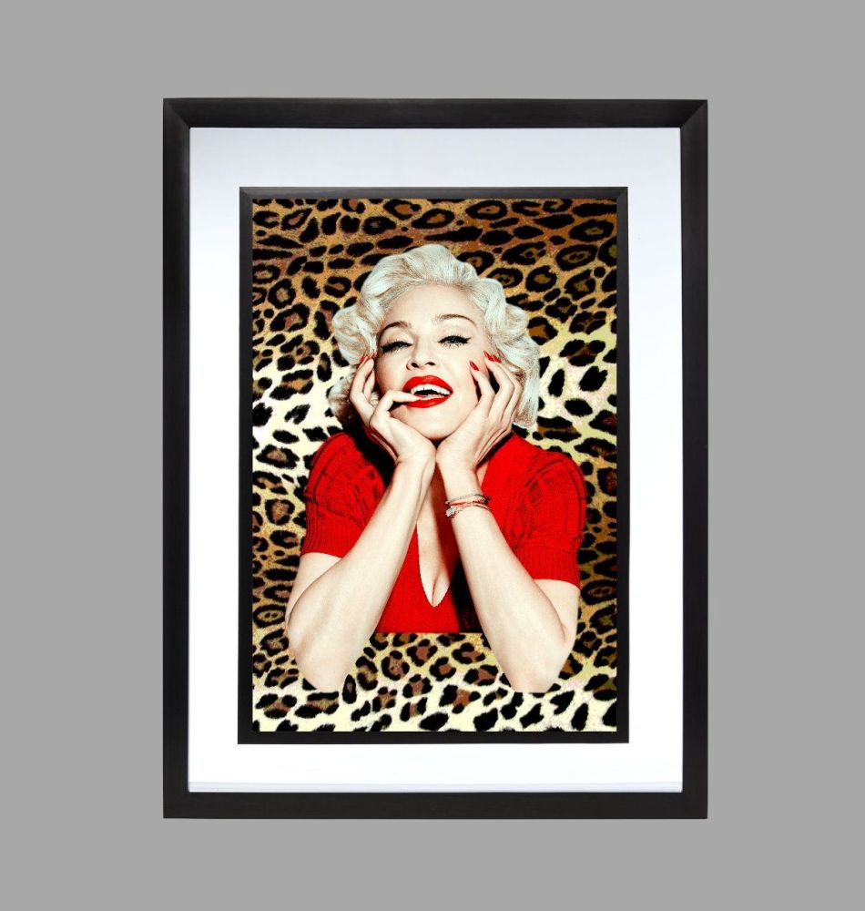 Madonna Poster Print