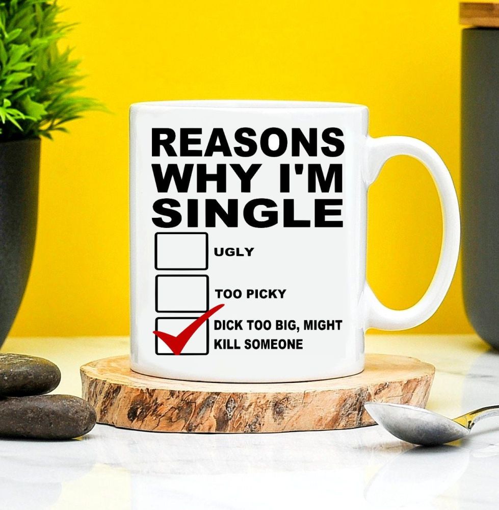 Reason Why Im Single Mug 