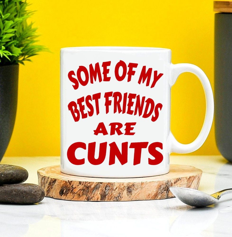 Some Of My Best Friends Are Cunts Mug 