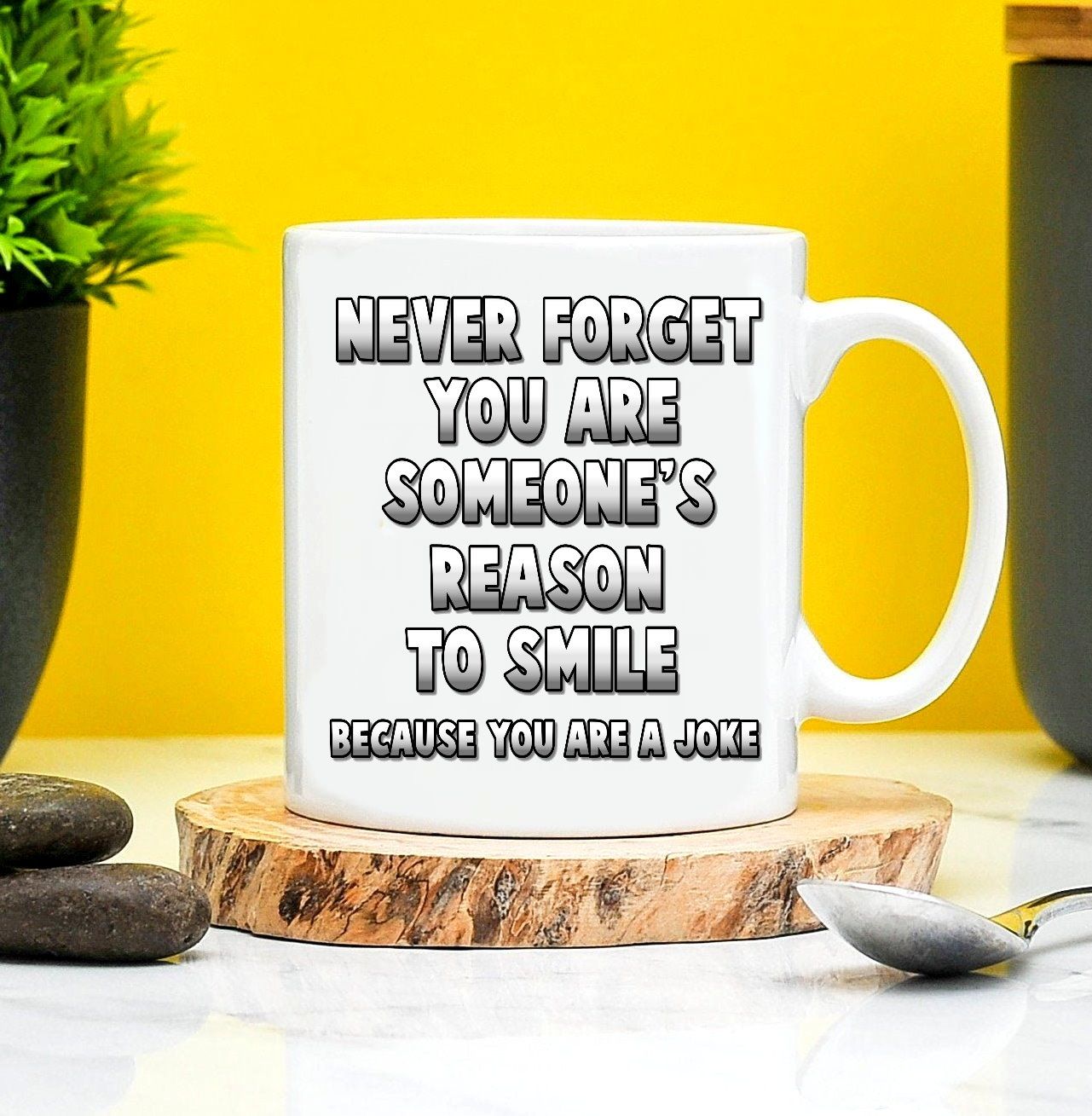 Never Forget You Are Someones Reason To Smile Joke Mug