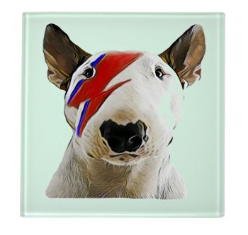 English Bull Terrier Ziggy Stardust Coaster