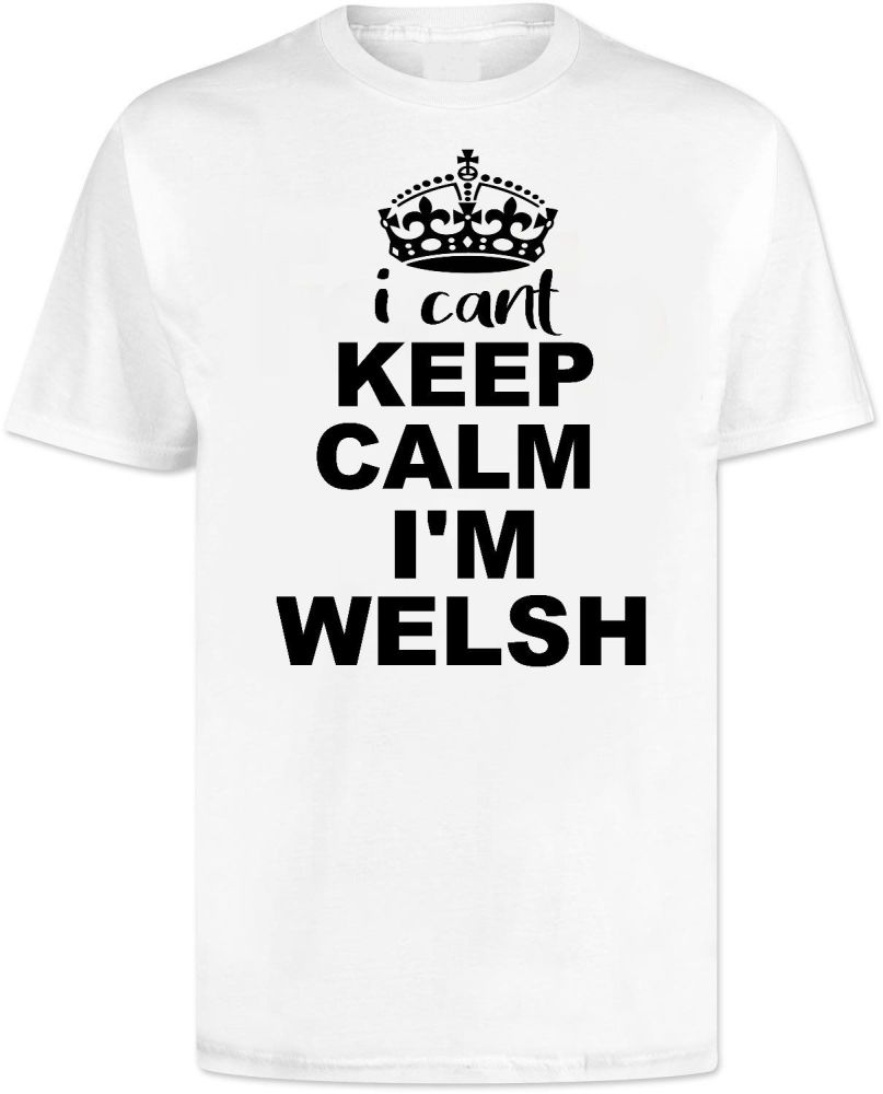 I Cant Keep Calm Im Welsh T Shirt