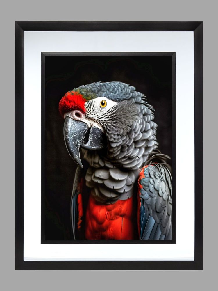 Parrot Poster Print