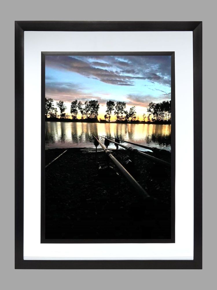 Carp Fishing Poster Print