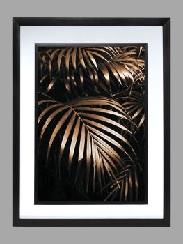 Palm Leaf Leaves Poster