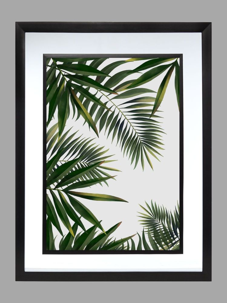 Palm Leaf Leaves Poster Print