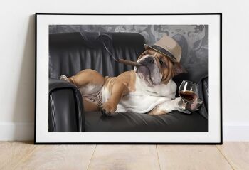 Bulldog On Sofa Poster