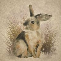 18" X 18" LINEN COTTON PRINTED PANEL, BABY RABBIT.