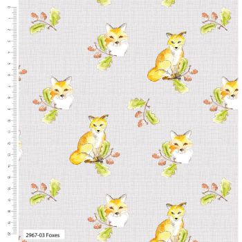 Debbie Shore 100% organic cotton from the A Country Walk range. Foxes.